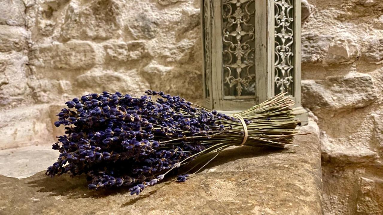 فيلا La Marisol LʼIsle-sur-la-Sorgue المظهر الخارجي الصورة
